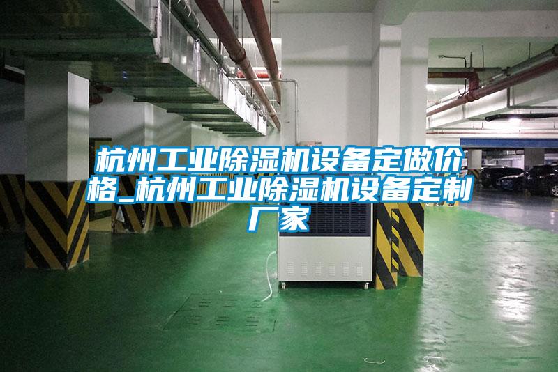 杭州工業(yè)除濕機設備定做價格_杭州工業(yè)除濕機設備定制廠家