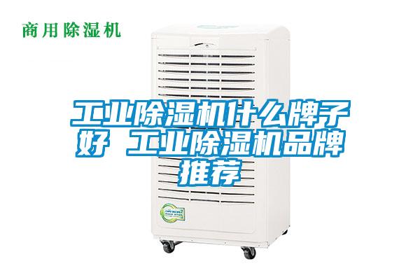 工業(yè)除濕機(jī)什么牌子好 工業(yè)除濕機(jī)品牌推薦