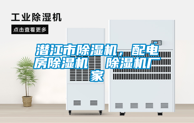 潛江市除濕機(jī)，配電房除濕機(jī)  除濕機(jī)廠家