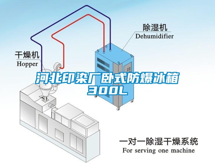 河北印染廠臥式防爆冰箱300L