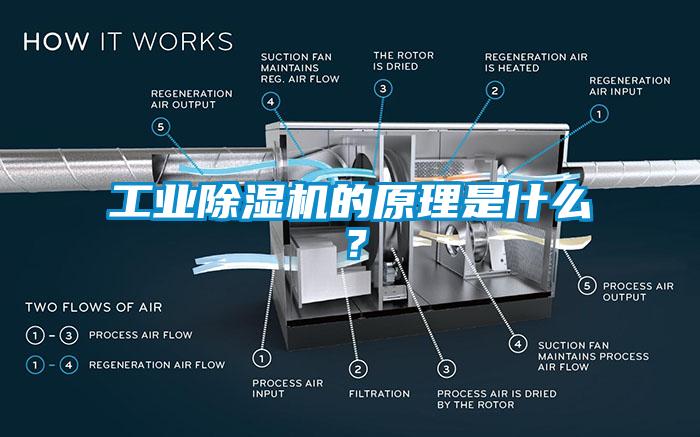 工業(yè)除濕機(jī)的原理是什么？