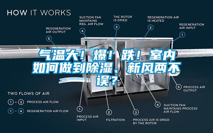 氣溫大！爆！跌！室內(nèi)如何做到除濕、新風(fēng)兩不誤？