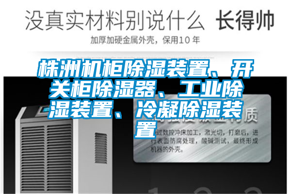 株洲機柜除濕裝置、開關(guān)柜除濕器、工業(yè)除濕裝置、冷凝除濕裝置