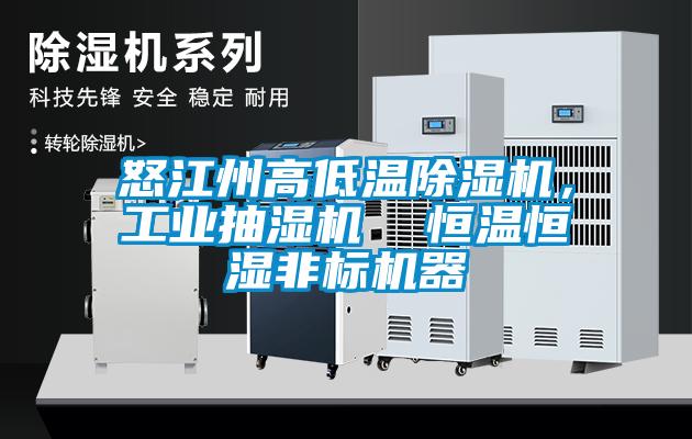 怒江州高低溫除濕機，工業(yè)抽濕機  恒溫恒濕非標(biāo)機器