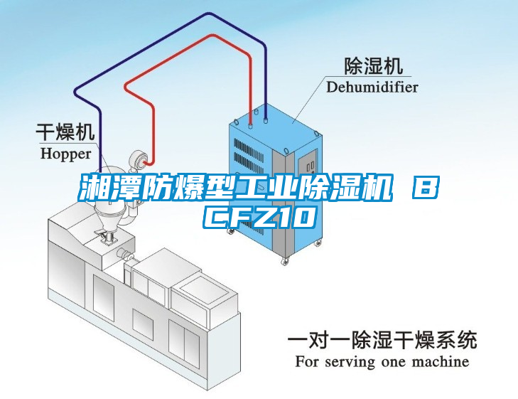 湘潭防爆型工業(yè)除濕機 BCFZ10