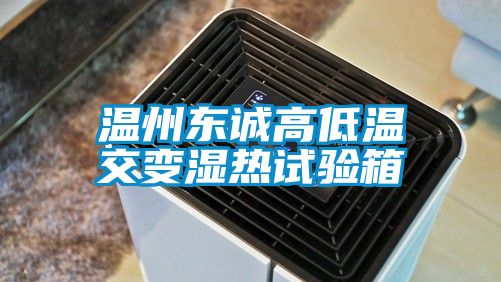 溫州東誠高低溫交變濕熱試驗(yàn)箱