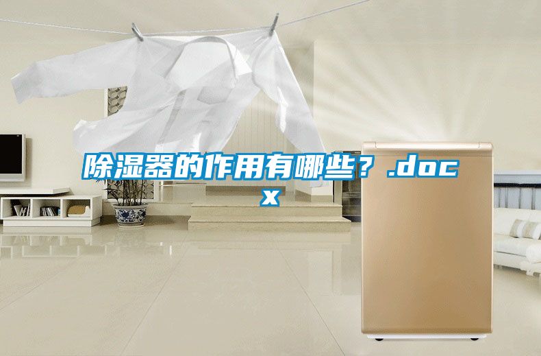 除濕器的作用有哪些？.docx