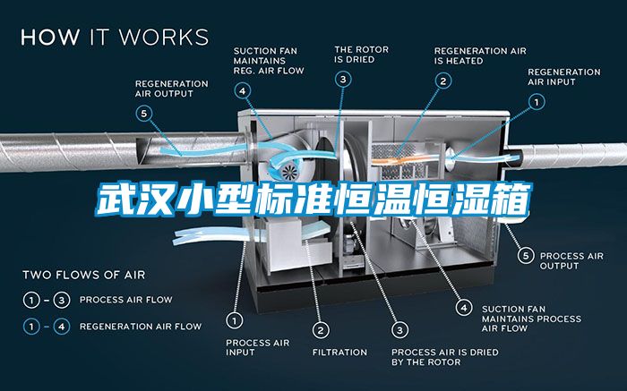 武漢小型標(biāo)準(zhǔn)恒溫恒濕箱