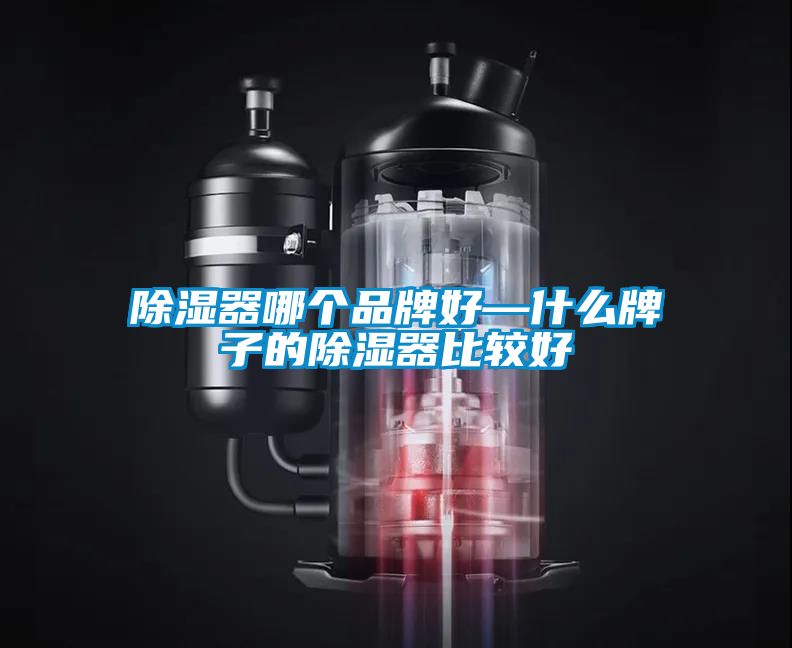 除濕器哪個品牌好—什么牌子的除濕器比較好