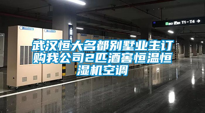 武漢恒大名都別墅業(yè)主訂購(gòu)我公司2匹酒窖恒溫恒濕機(jī)空調(diào)