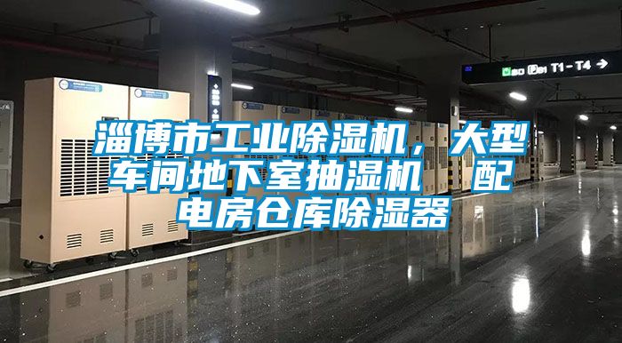 淄博市工業(yè)除濕機(jī)，大型車間地下室抽濕機(jī)  配電房倉(cāng)庫(kù)除濕器