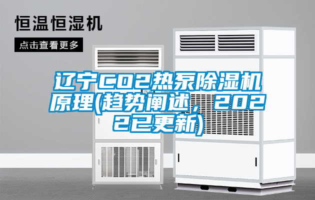 遼寧CO2熱泵除濕機(jī)原理(趨勢闡述，2022已更新)