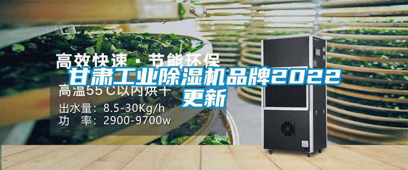 甘肅工業(yè)除濕機(jī)品牌2022更新