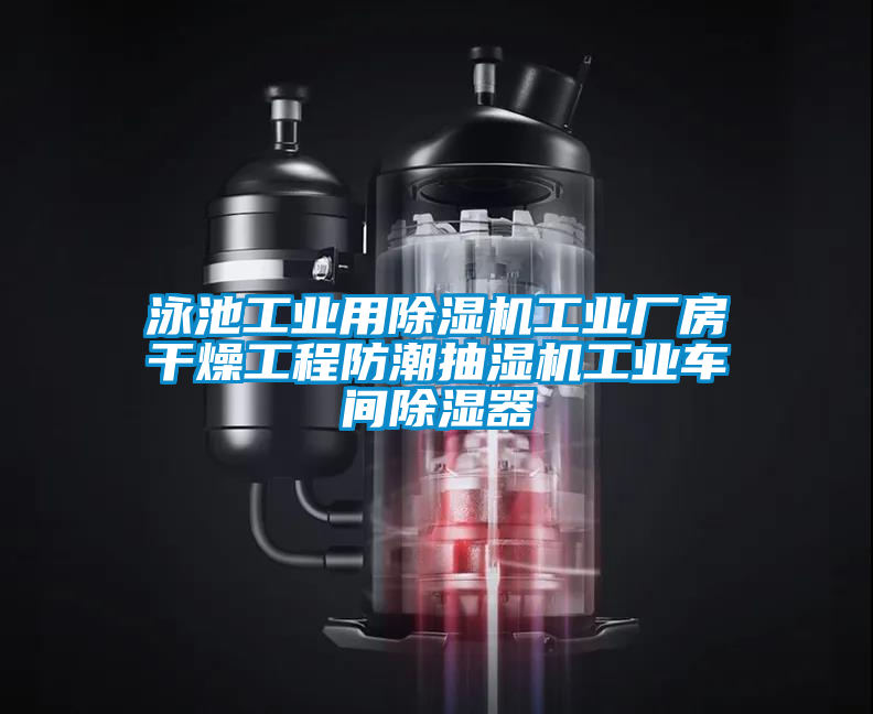 泳池工業(yè)用除濕機(jī)工業(yè)廠房干燥工程防潮抽濕機(jī)工業(yè)車間除濕器