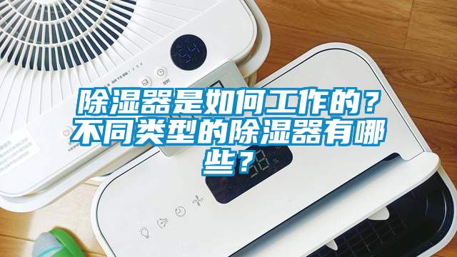 除濕器是如何工作的？不同類型的除濕器有哪些？