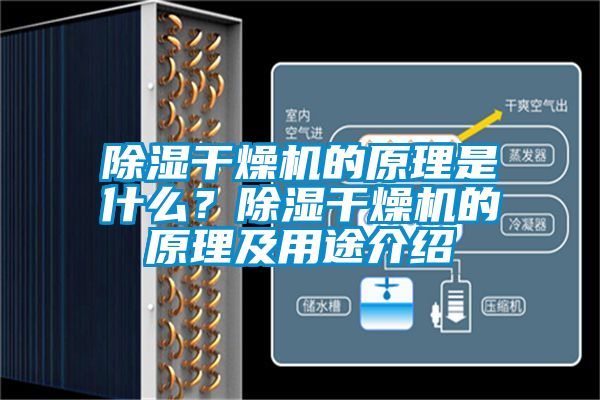 除濕干燥機的原理是什么？除濕干燥機的原理及用途介紹