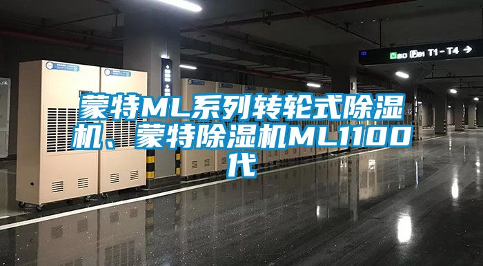 蒙特ML系列轉(zhuǎn)輪式除濕機(jī)、蒙特除濕機(jī)ML1100代