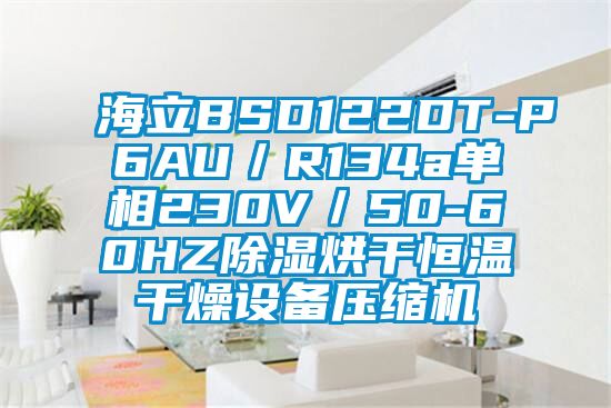 海立BSD122DT-P6AU／R134a單相230V／50-60HZ除濕烘干恒溫干燥設備壓縮機