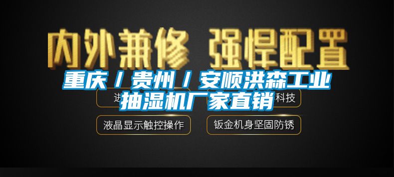 重慶／貴州／安順洪森工業(yè)抽濕機(jī)廠家直銷