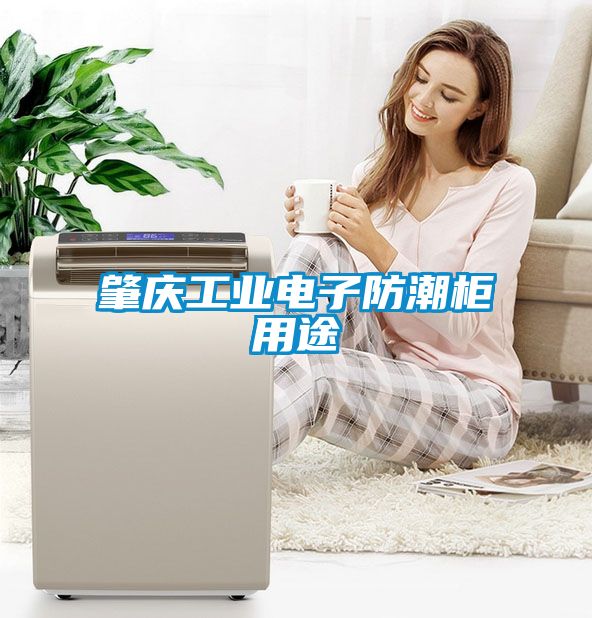 肇慶工業(yè)電子防潮柜用途