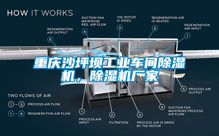 重慶沙坪壩工業(yè)車間除濕機(jī)，除濕機(jī)廠家