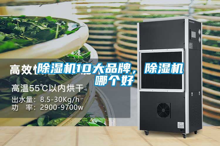 除濕機10大品牌，除濕機 哪個好