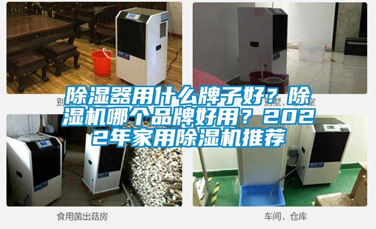 除濕器用什么牌子好？除濕機哪個品牌好用？2022年家用除濕機推薦