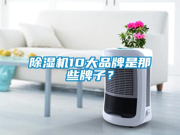 除濕機(jī)10大品牌是那些牌子？