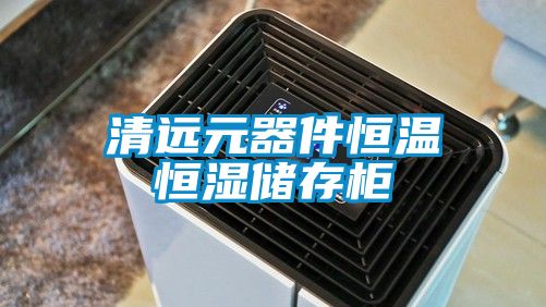 清遠元器件恒溫恒濕儲存柜