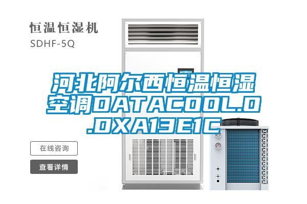 河北阿爾西恒溫恒濕空調(diào)DATACOOL.O.DXA13E1C