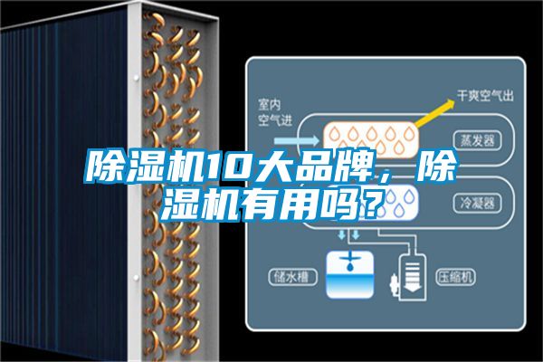 除濕機10大品牌，除濕機有用嗎？