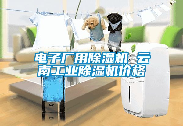 電子廠用除濕機(jī) 云南工業(yè)除濕機(jī)價(jià)格