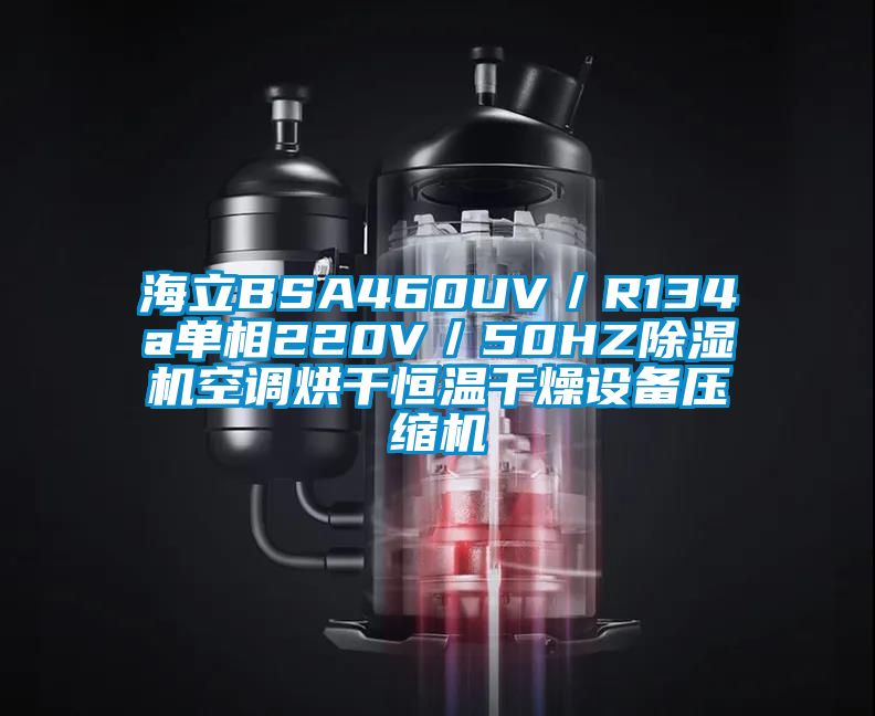 海立BSA460UV／R134a單相220V／50HZ除濕機空調(diào)烘干恒溫干燥設備壓縮機