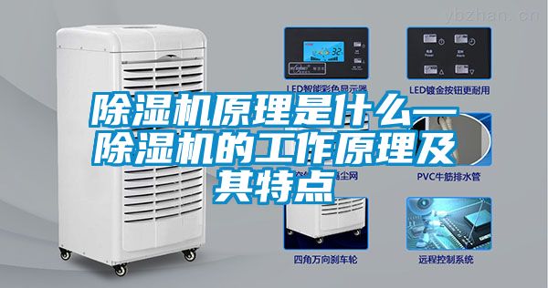 除濕機原理是什么—除濕機的工作原理及其特點