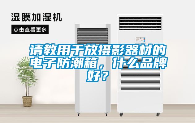 請教用于放攝影器材的電子防潮箱，什么品牌好？