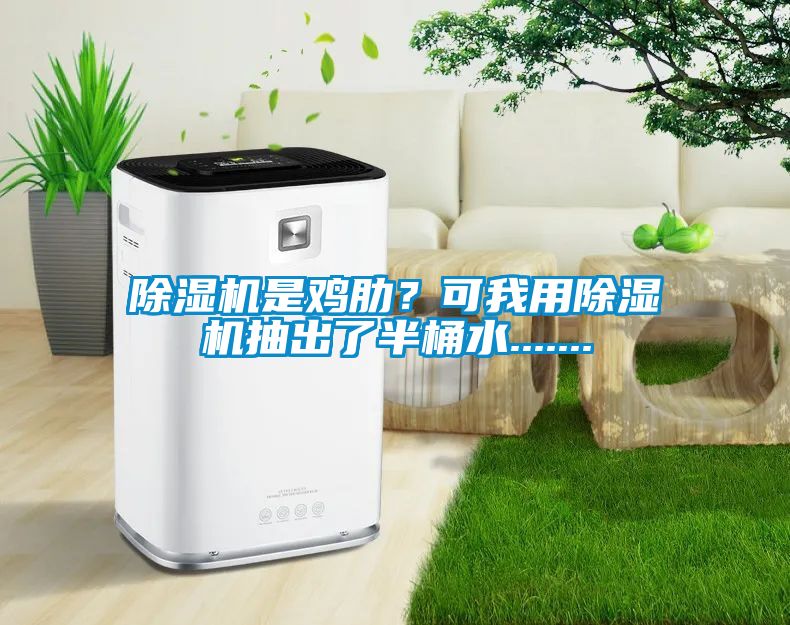 除濕機(jī)是雞肋？可我用除濕機(jī)抽出了半桶水.......