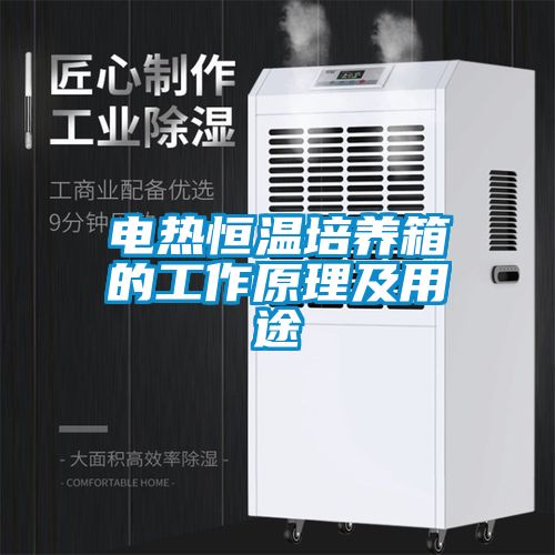 電熱恒溫培養(yǎng)箱的工作原理及用途