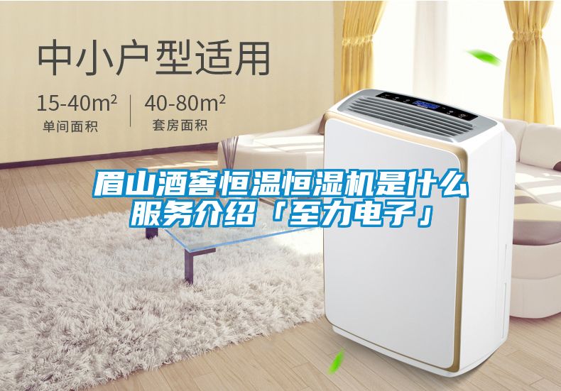 眉山酒窖恒溫恒濕機(jī)是什么服務(wù)介紹「至力電子」