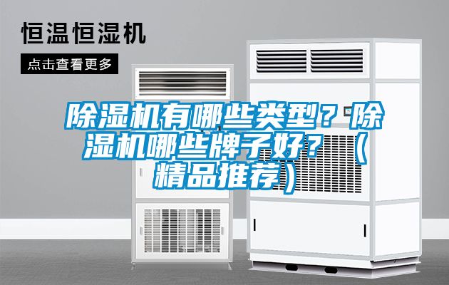 除濕機有哪些類型？除濕機哪些牌子好？（精品推薦）