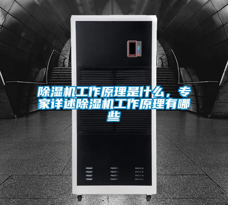 除濕機工作原理是什么，專家詳述除濕機工作原理有哪些