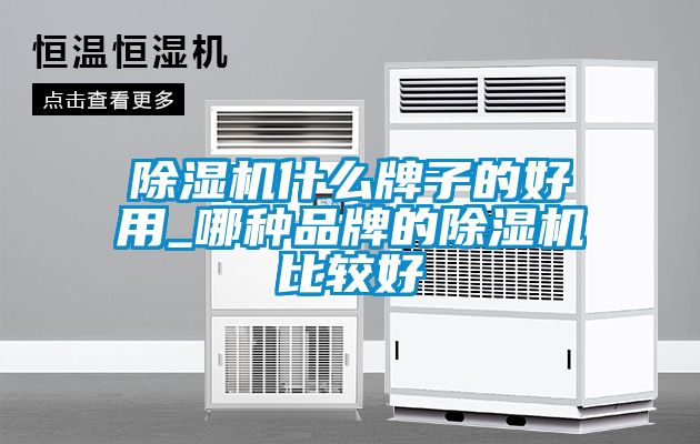 除濕機(jī)什么牌子的好用_哪種品牌的除濕機(jī)比較好