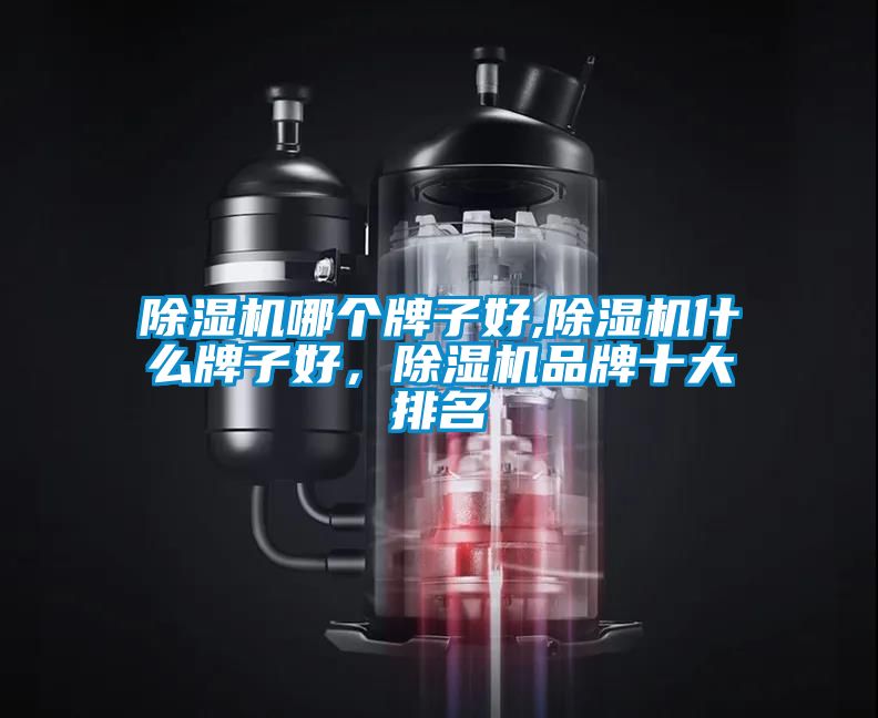 除濕機(jī)哪個(gè)牌子好,除濕機(jī)什么牌子好，除濕機(jī)品牌十大排名