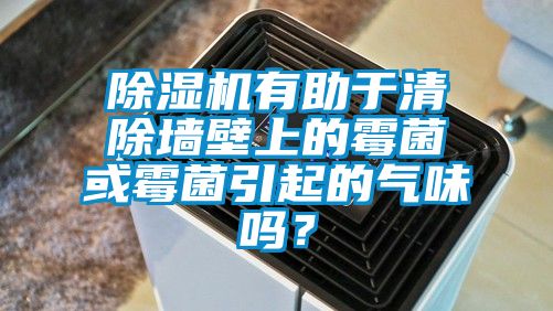 除濕機有助于清除墻壁上的霉菌或霉菌引起的氣味嗎？