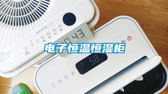 電子恒溫恒濕柜