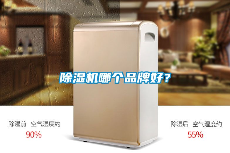 除濕機哪個品牌好？