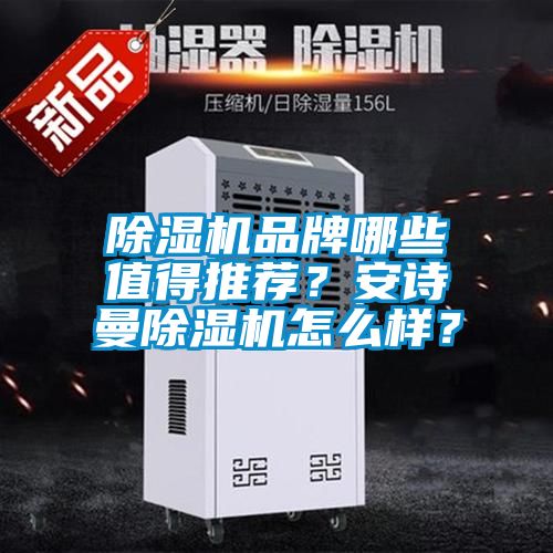 除濕機品牌哪些值得推薦？安詩曼除濕機怎么樣？