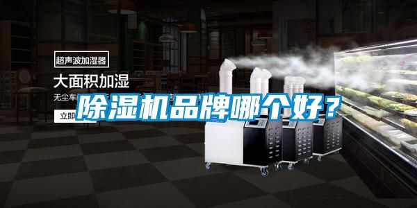 除濕機品牌哪個好？