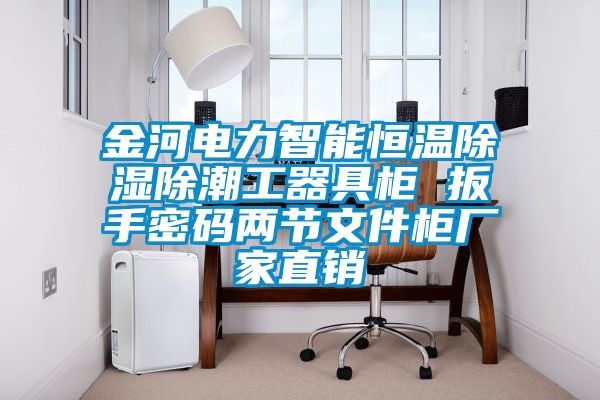 金河電力智能恒溫除濕除潮工器具柜 扳手密碼兩節(jié)文件柜廠家直銷(xiāo)