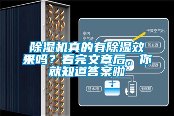 除濕機真的有除濕效果嗎？看完文章后，你就知道答案啦