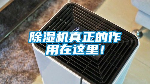 除濕機(jī)真正的作用在這里！